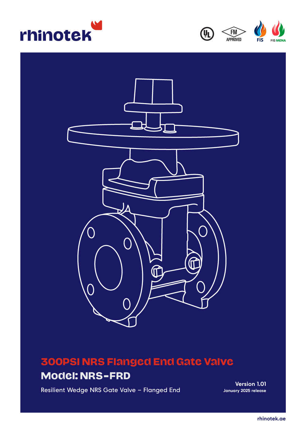 300PSI NRS Flanged End Gate Valve